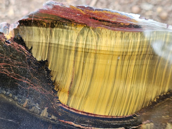 Polished Tiger Eye slab TE431