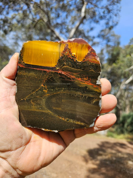 Polished Tiger Eye slab TE429