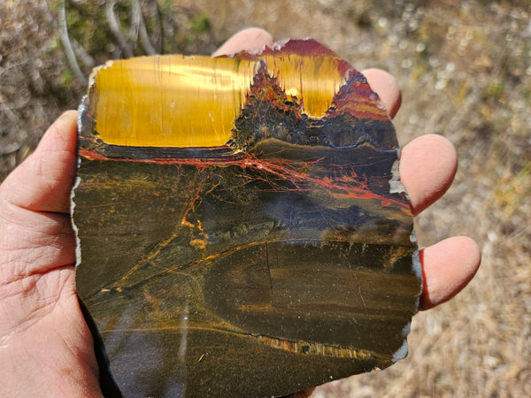 Polished Tiger Eye slab TE429