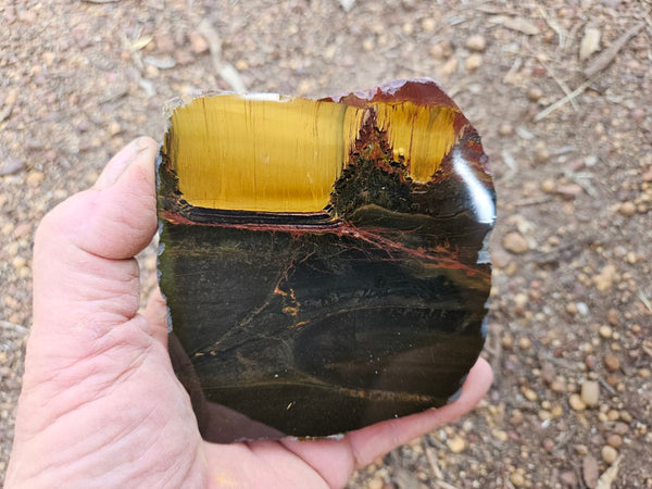 Polished Tiger Eye slab TE429