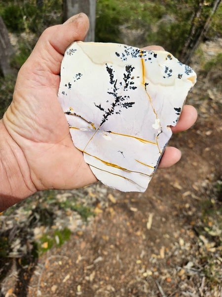 Polished Dendritic Mookaite slab MK520