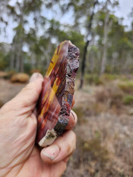 Polished  Mookaite slab MK521