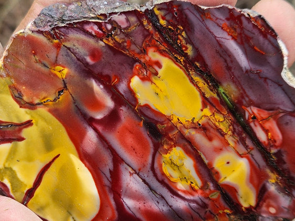 Polished  Mookaite slab MK521