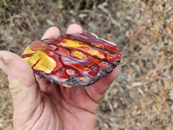 Polished  Mookaite slab MK521