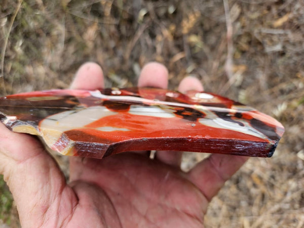 Polished  Mookaite slab MK522