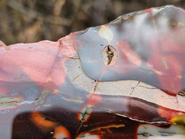 Polished  Mookaite slab MK522