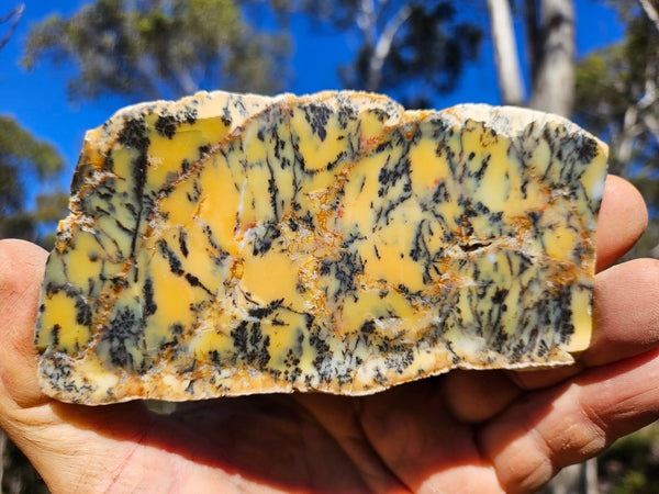 Polished Dendritic Opal slab DO211