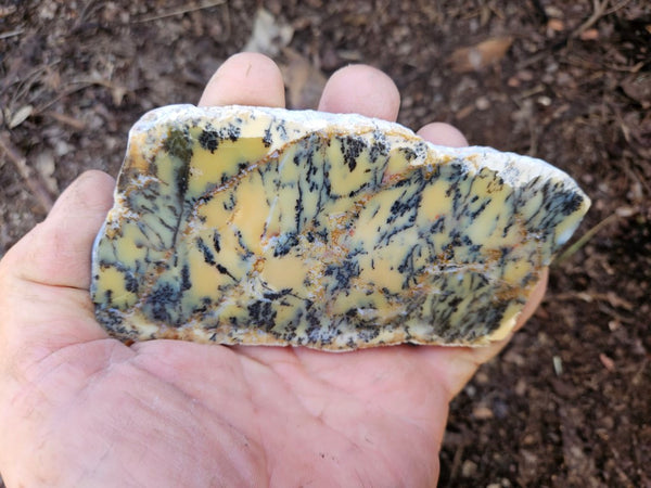 Polished Dendritic Opal slab DO211