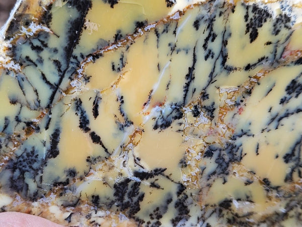 Polished Dendritic Opal slab DO211