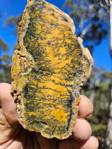 Polished Dendritic Opal slab DO210