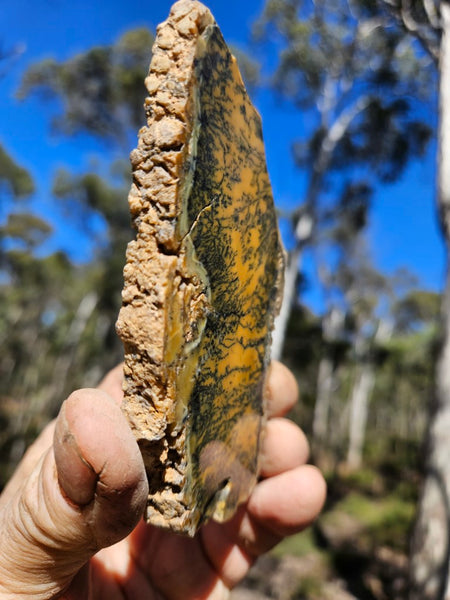 Polished Dendritic Opal slab DO210