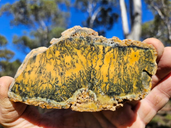 Polished Dendritic Opal slab DO210