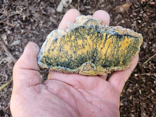 Polished Dendritic Opal slab DO210