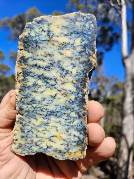 Polished Dendritic Opal slab DO212