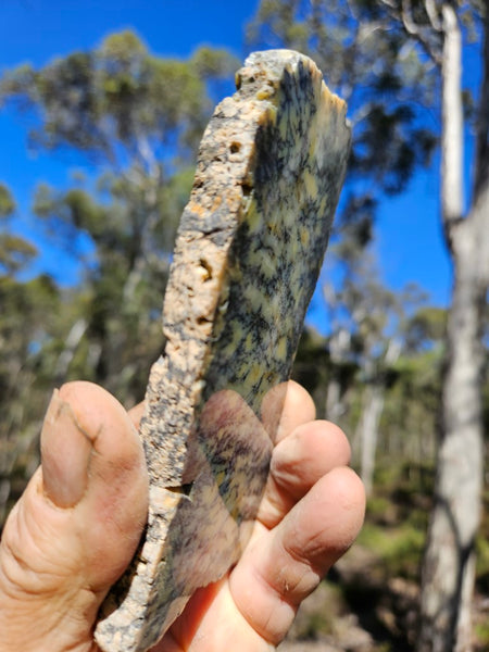 Polished Dendritic Opal slab DO212