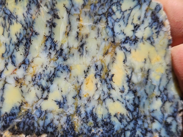 Polished Dendritic Opal slab DO212