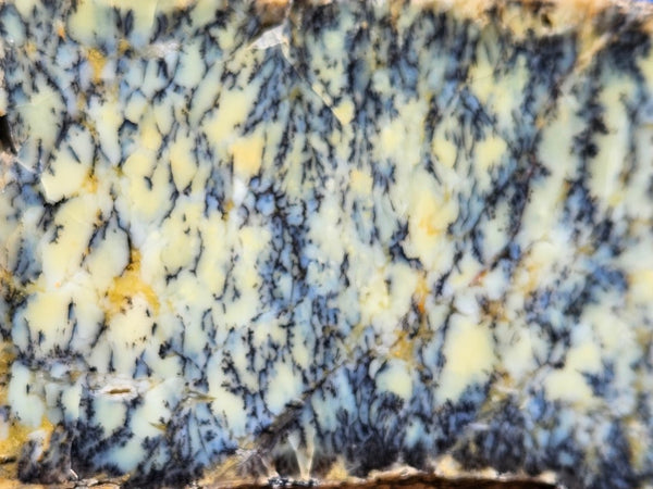 Polished Dendritic Opal slab DO212