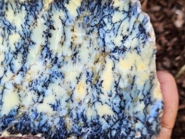 Polished Dendritic Opal slab DO212