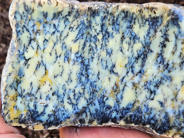 Polished Dendritic Opal slab DO212