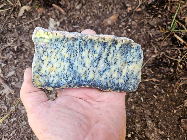 Polished Dendritic Opal slab DO212