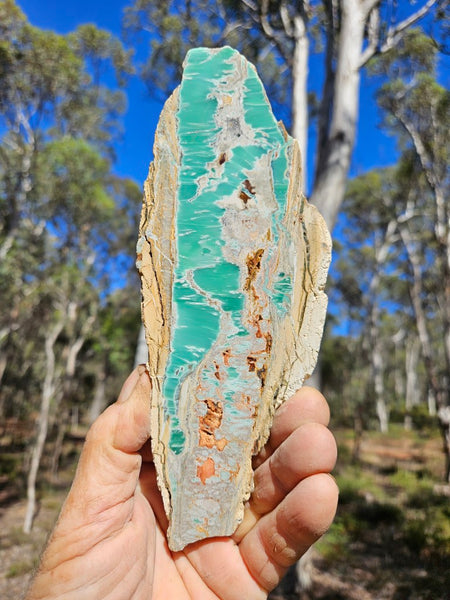 Variscite Polished Slab.  VP 284