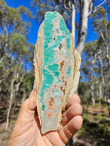 Variscite Polished Slab.  VP 284