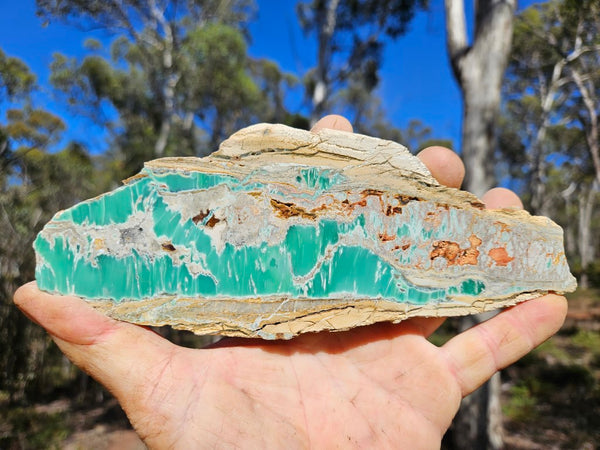 Variscite Polished Slab.  VP 284