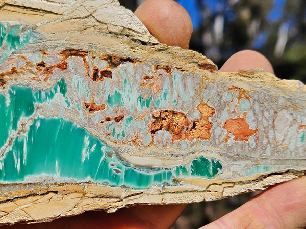 Variscite Polished Slab.  VP 284