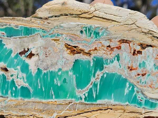 Variscite Polished Slab.  VP 284