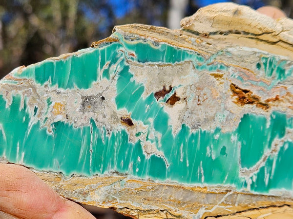 Variscite Polished Slab.  VP 284