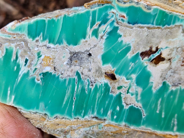 Variscite Polished Slab.  VP 284