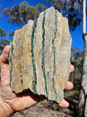 Variscite Polished Slab.  VP 282