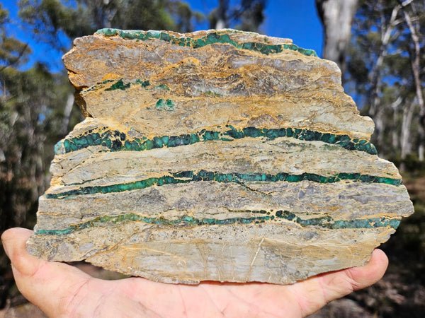 Variscite Polished Slab.  VP 282