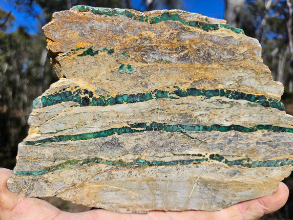 Variscite Polished Slab.  VP 282