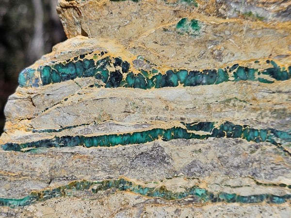 Variscite Polished Slab.  VP 282