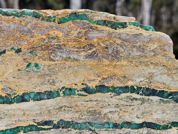 Variscite Polished Slab.  VP 282