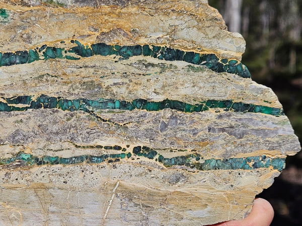 Variscite Polished Slab.  VP 282