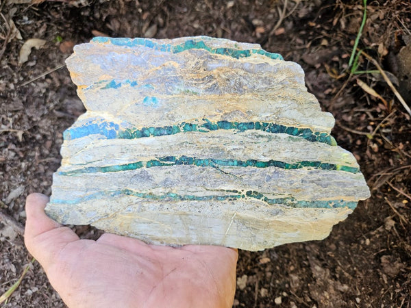 Variscite Polished Slab.  VP 282