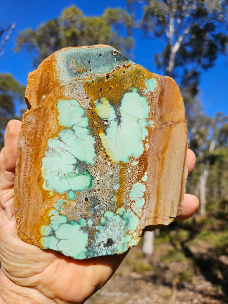 Variscite Polished Slab.  VP 283