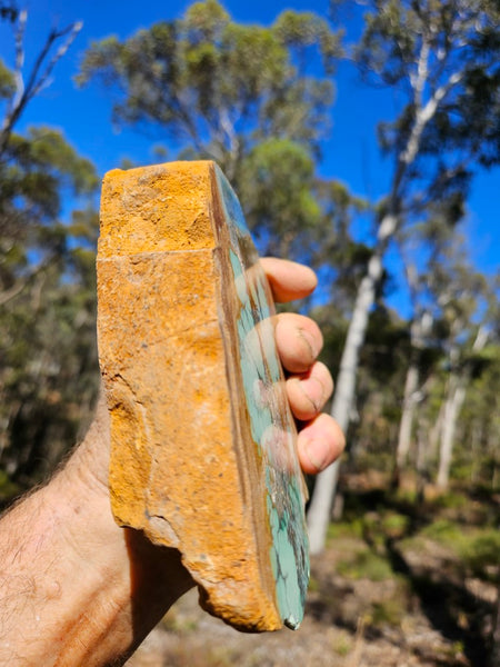 Variscite Polished Slab.  VP 283