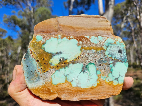 Variscite Polished Slab.  VP 283