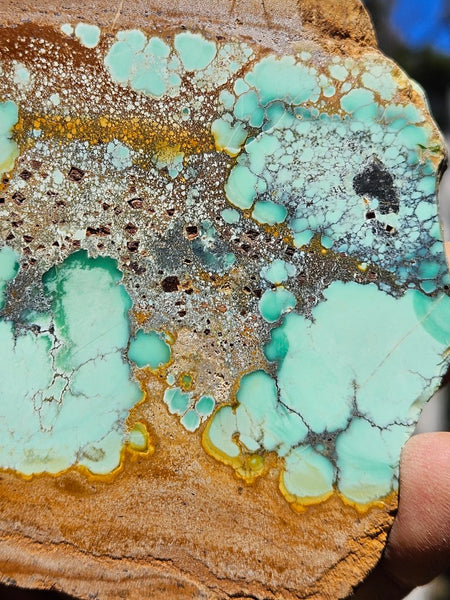 Variscite Polished Slab.  VP 283