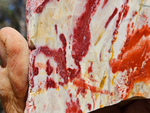 Polished Killaloe Opal slab KO106