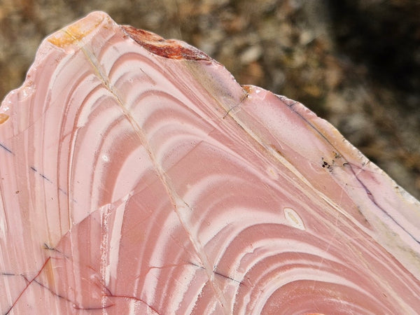 Polished Pink Opal  slab POP200