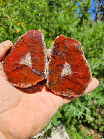 Polished Pilbara Agate pair PA270