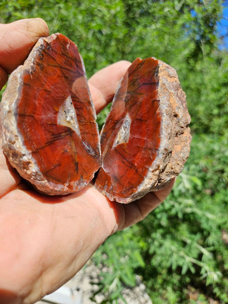 Polished Pilbara Agate pair PA270