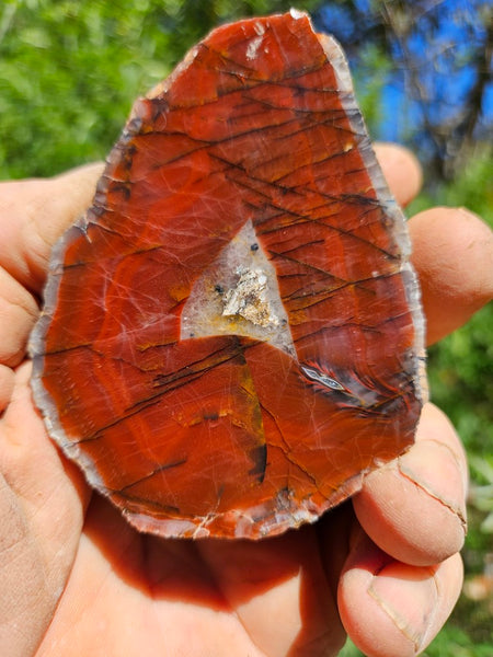 Polished Pilbara Agate pair PA270