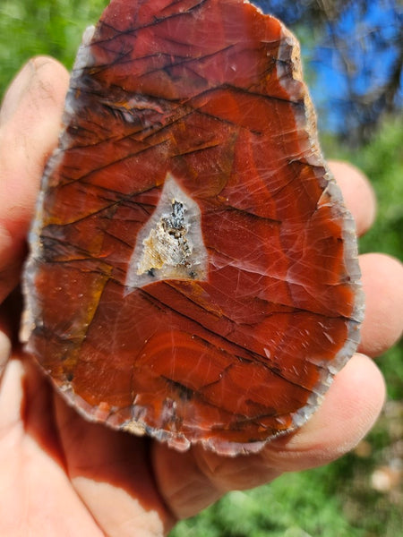 Polished Pilbara Agate pair PA270