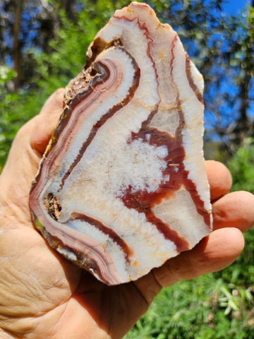 Polished Pilbara Agate PA271