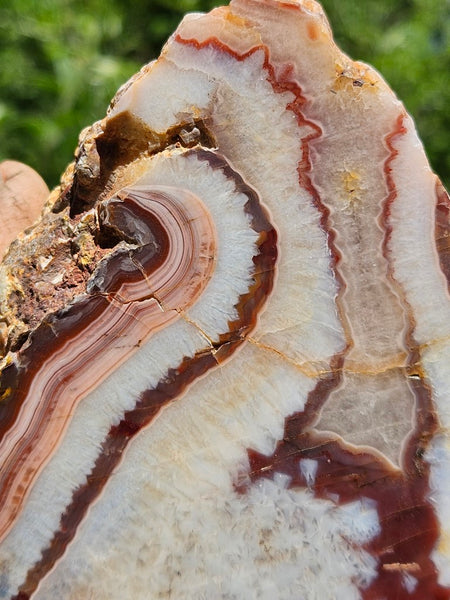 Polished Pilbara Agate PA271